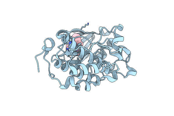 4I6B image
