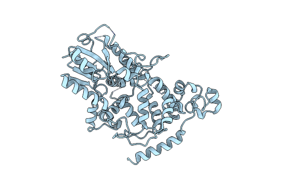4I6E image