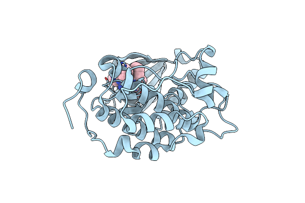 4I6F image