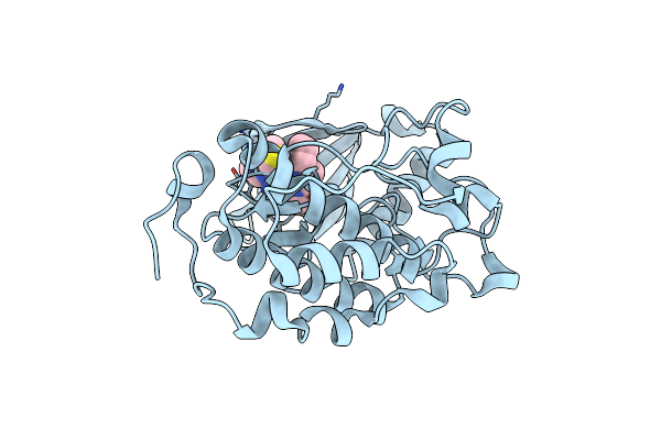 4I6H image
