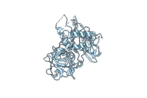 4I6I image