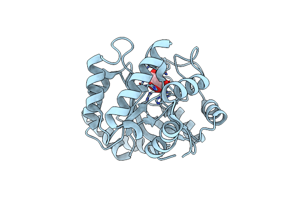 4I6K image