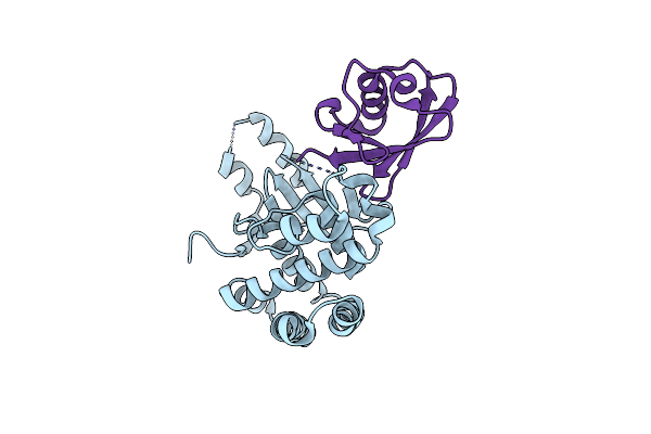 4I6L image