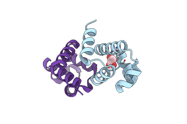 4I6T image