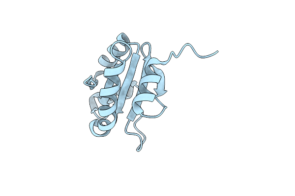 4I6X image