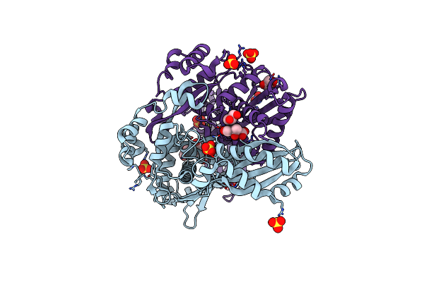 4I6Y image