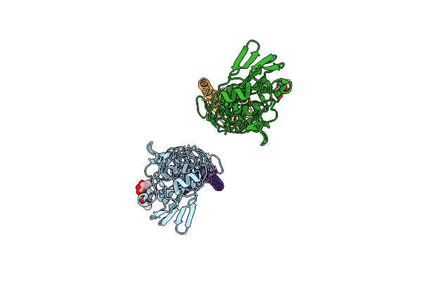 4I78 image