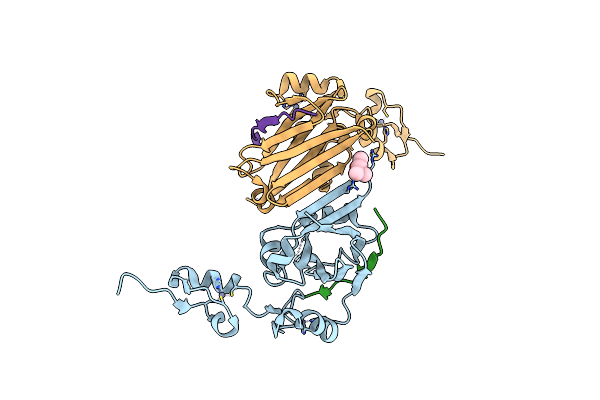 4I7D image
