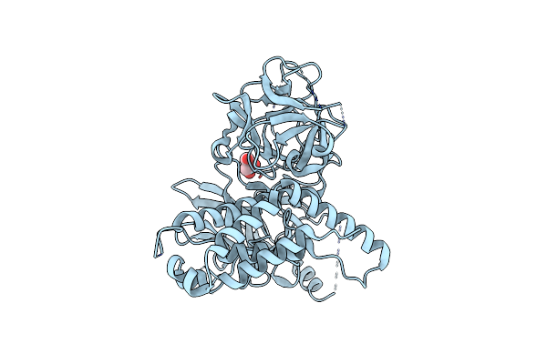 4I7I image