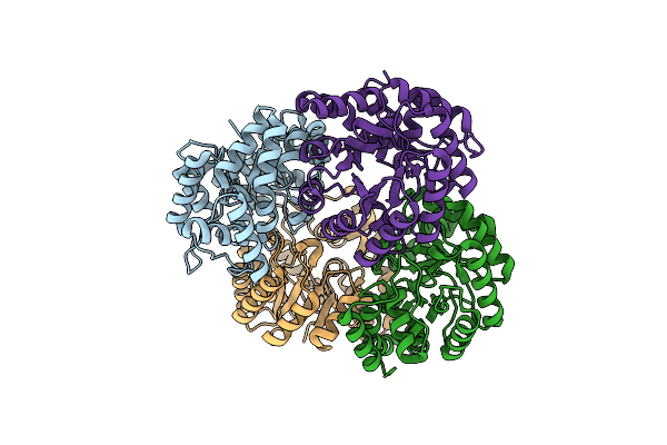 4I7V image