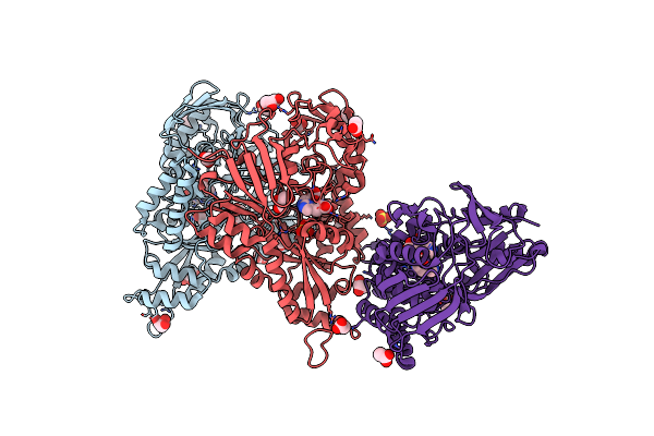 4I8C image