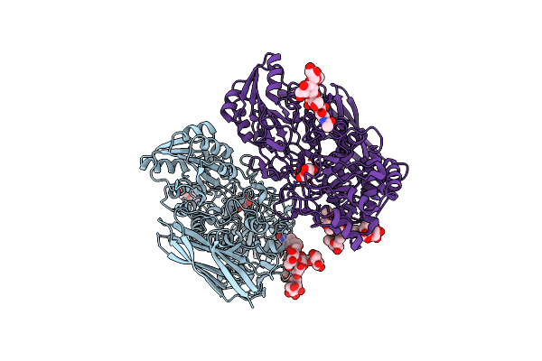 4I8D image