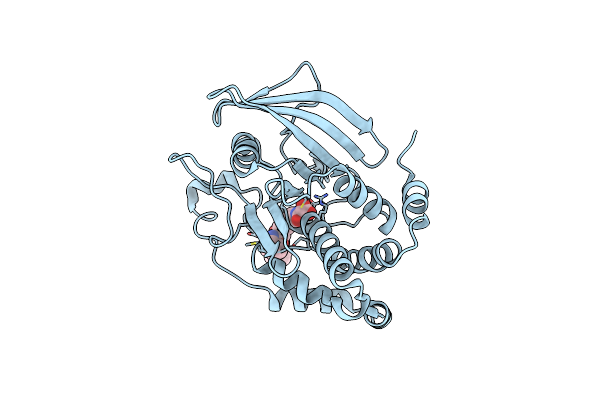 4I8N image