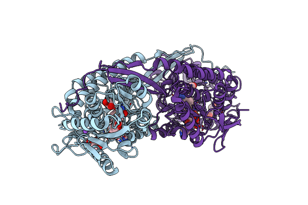 4I8P image