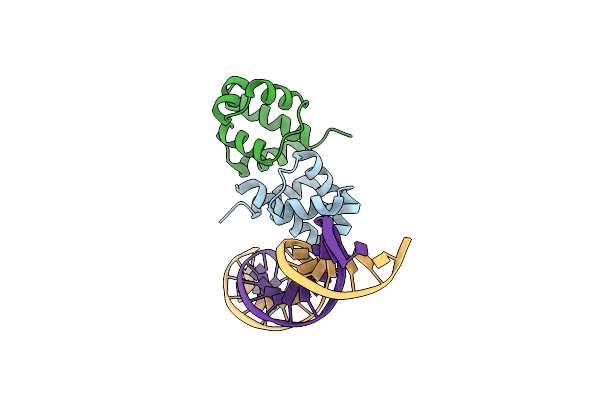 4I8T image