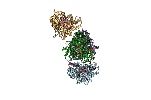 4I8V image