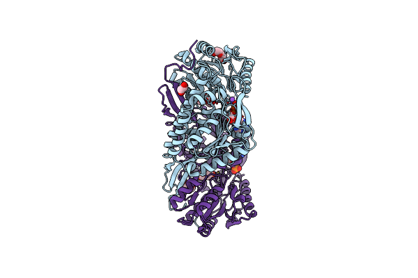 4I9B image