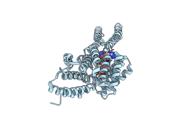 4I9C image