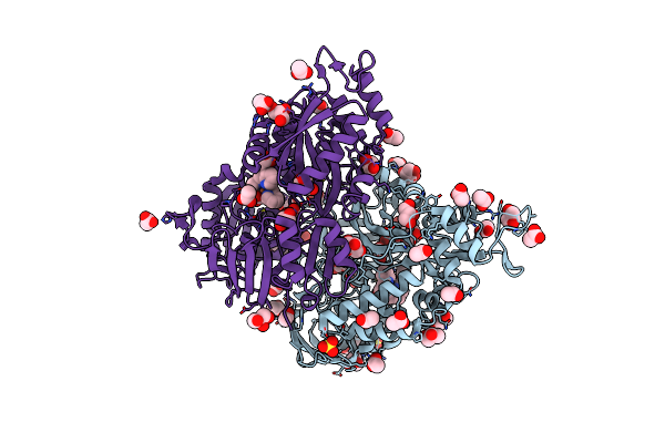 4I9D image