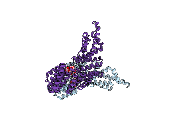 4I9E image
