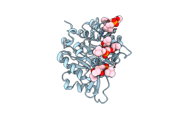 4I9J image