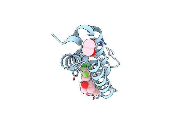 4I9O image