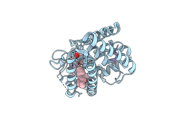 4IA2 image