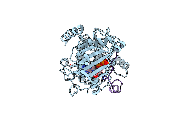 4IAC image