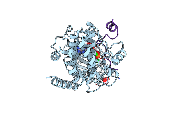4IAK image