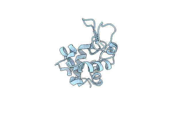 4IAT image