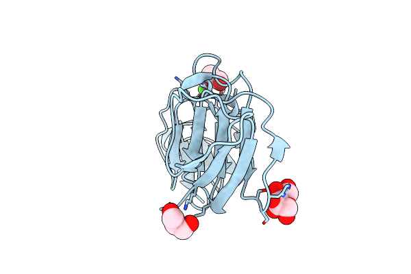 4IAU image