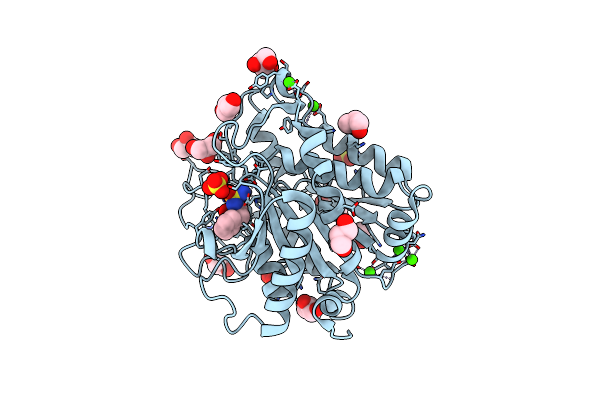 4IAV image