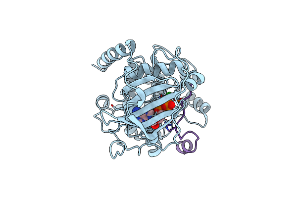 4IAZ image