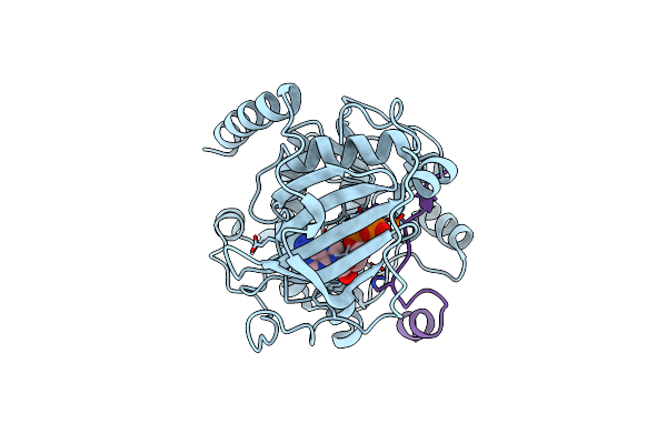 4IB0 image