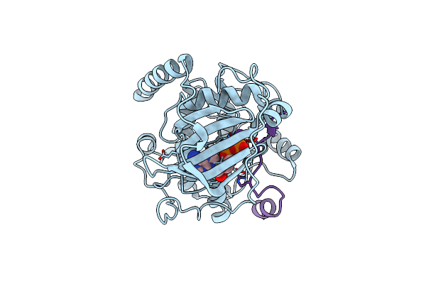 4IB1 image