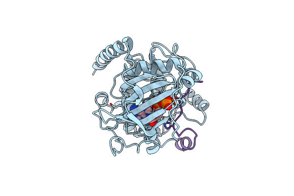 4IB3 image