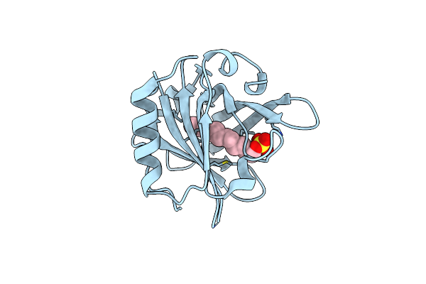 4IB8 image