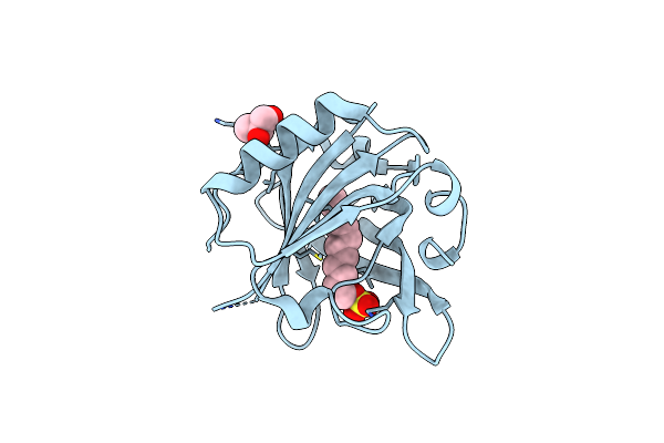 4IBA image
