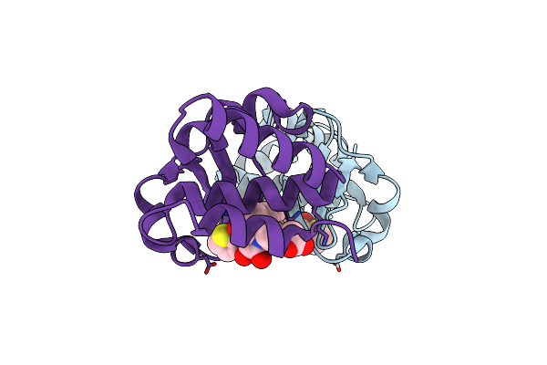 4IBB image