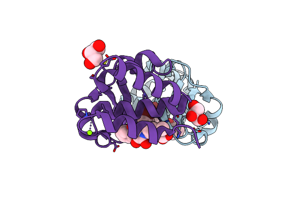4IBD image