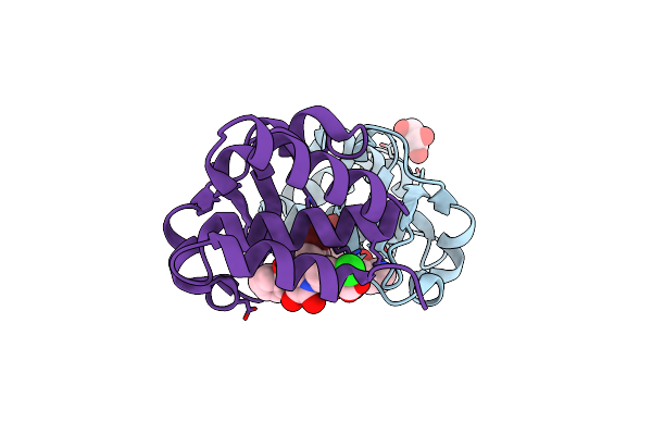 4IBE image