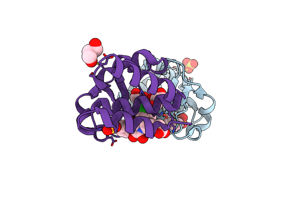 4IBG image
