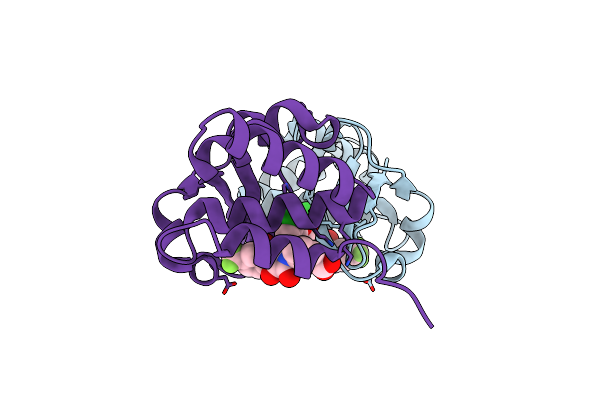 4IBI image