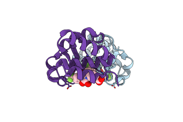 4IBJ image
