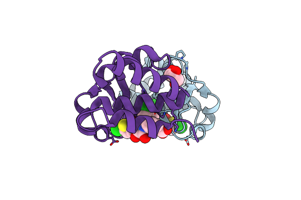 4IBK image