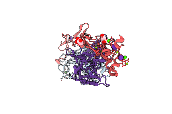 4IBL image