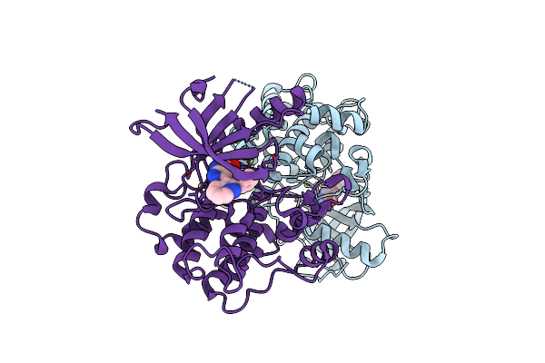 4IBM image