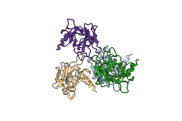 4IBT image