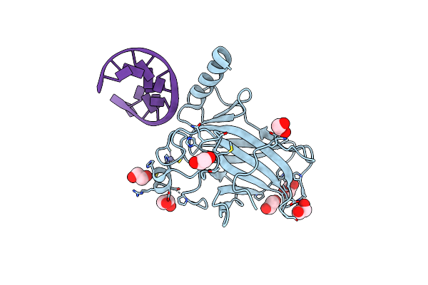 4IBV image