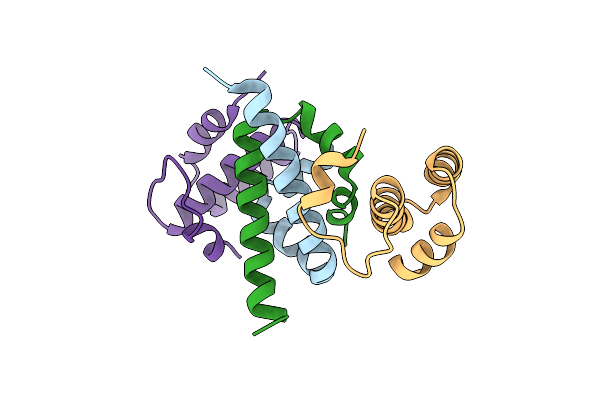 4ICG image